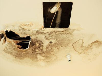 Professional mold remediation services in Fargo